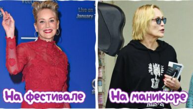 Photo of «Звезды на красных дорожках»