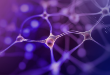 Photo of «Нейросети искусственного интеллекта»