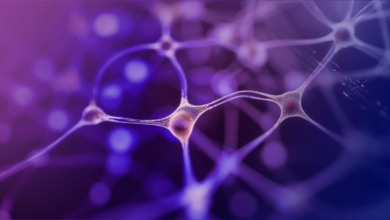 Photo of «Нейросети искусственного интеллекта»