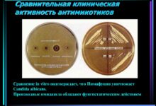 Photo of Медицина и образование: актуальные проблемы