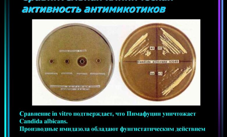 Photo of Медицина и образование: актуальные проблемы