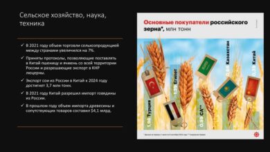 Photo of Международные отношения: перспективы развития